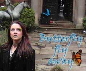 butterflyfly.jpg